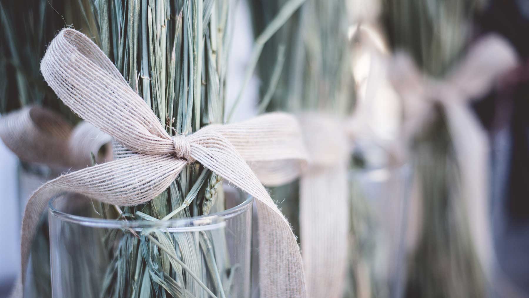 thirio vaptisi flamngo myholydays 2