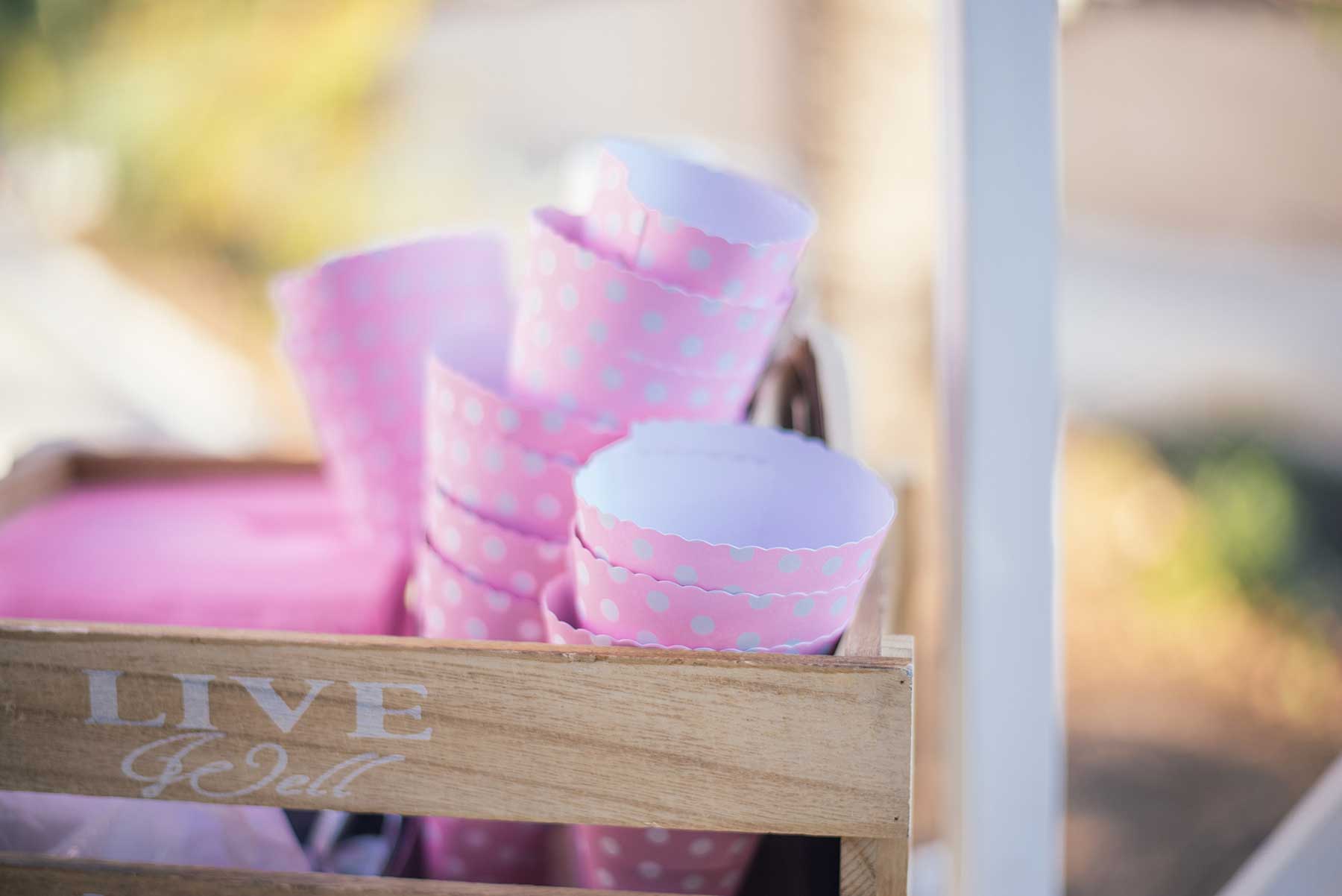 thirio vaptisi flamngo myholydays 28