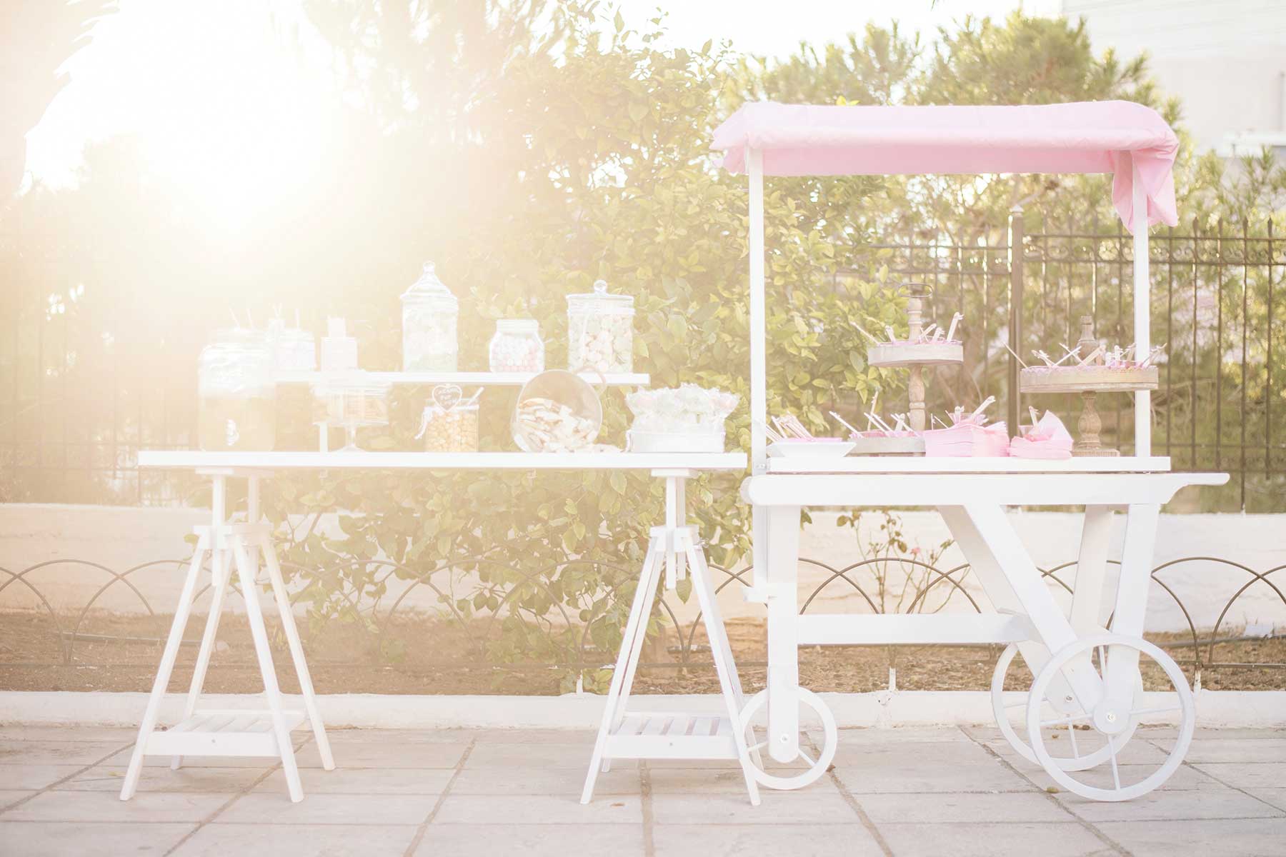 thirio vaptisi flamngo myholydays 39